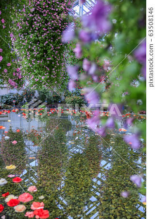 長野村海棠花園 63508146