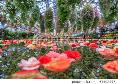 Naganoana Village Begonia Garden 63508157