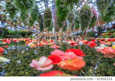 Naganoana Village Begonia Garden Naganoana Village Begonia Garden 63508158