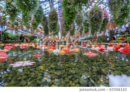 長野村海棠花園 63508183