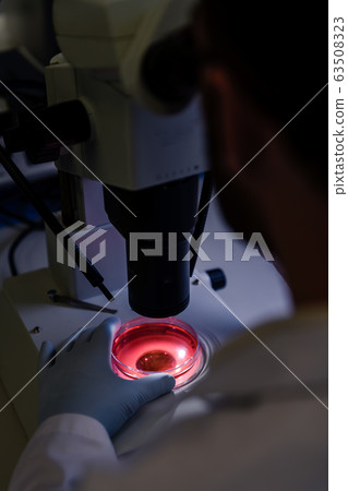 Scientific handling a light stereomicroscope Scientific handling a light stereomicroscope 63508323
