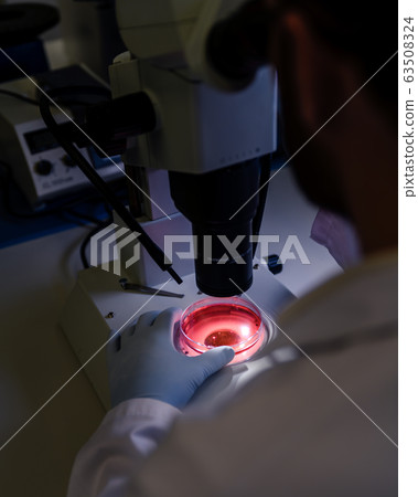 Scientific handling a light stereomicroscope Scientific handling a light stereomicroscope 63508324