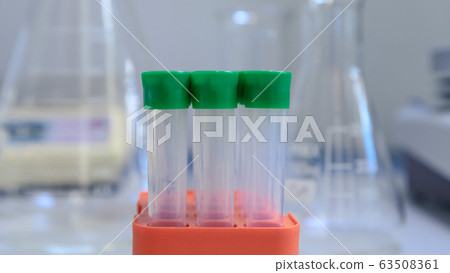 Test tubes, flask and bioscience laboratory Test tubes, flask and bioscience laboratory 63508361