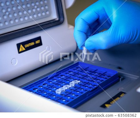 Loading a DNA tube into a PCR (polymerase chain Loading a DNA tube into a PCR (polymerase chain 63508362