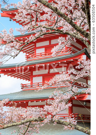 Yamanashi Prefecture Spring Arayama Asama Shrine 63508504