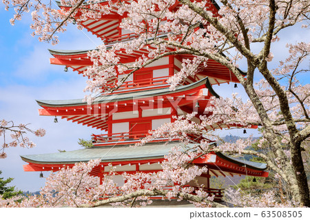 Yamanashi Prefecture Spring Arayama Asama Shrine Yamanashi Prefecture Spring Arayama Asama Shrine 63508505
