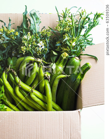 Green produce in cardboard box Green produce in cardboard box 63509336
