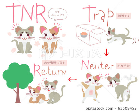 Set of illustrations of regional cat TNR 63509452