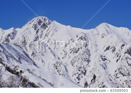 Goryu and Shiratake in winter 63509503