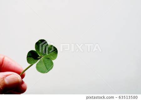 Four leaf clover finger good luck healing 63513580