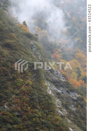 從金平站看到雨後的黑部峽谷 從金平站看到雨後的黑部峽谷 63514523
