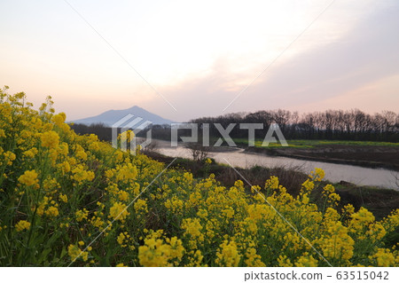 Kokaigawa and Mt.Tsukuba in spring Kokaigawa and Mt.Tsukuba in spring 63515042