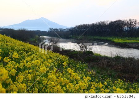 春天的高海川和筑波山 63515043