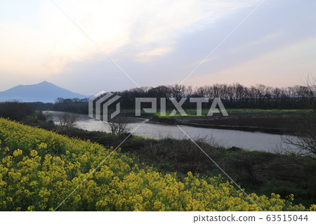 春天的高海川和筑波山 春天的高海川和筑波山 63515044