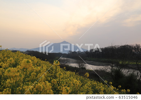 春天的高海川和筑波山 春天的高海川和筑波山 63515046