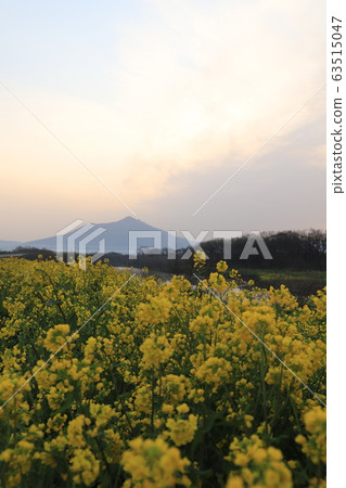 春天的高海川和筑波山 63515047
