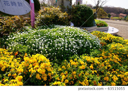 Goma Gardens Goma Gardens 63515055