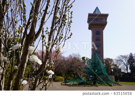 Goma Gardens Goma Gardens 63515058