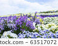  花園 63517072