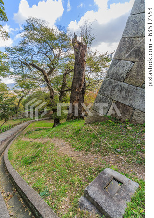 丸龜城的秋天風景 丸龜城的秋天風景 63517553