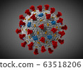 冠狀病毒SARS-CoV-2 63518206