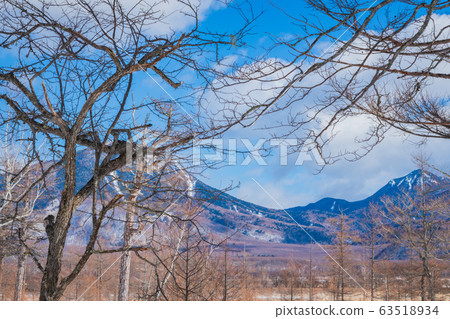 Senjogahara Taroyama 63518934