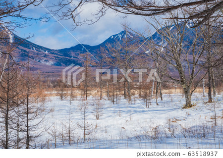 Senjogahara Taroyama Senjogahara Taroyama 63518937