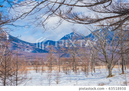 Senjogahara Taroyama Senjogahara Taroyama 63518938