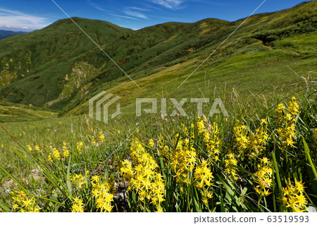 Mt. Maki Machine / Discount Mt. 63519593