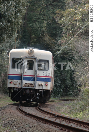 穿過森林的常陸那珂海濱鐵道Kiha 223_攝於2009年9月29日 63519803