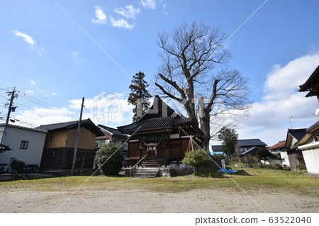 宮川大型Keyaki(富山縣上市町) 宮川大型Keyaki(富山縣上市町) 63522040