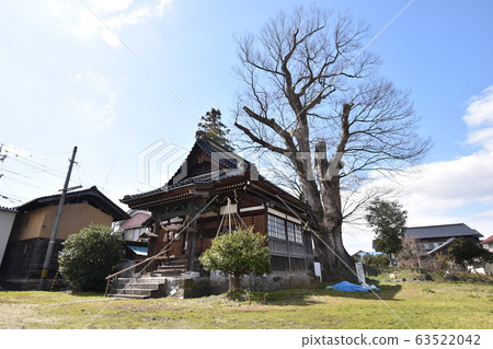 宮川大型Keyaki(富山縣上市町) 宮川大型Keyaki(富山縣上市町) 63522042