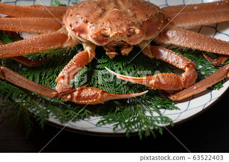 Crab Crab 63522403