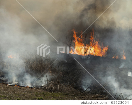 Watarase Yusui ground Yoshi grilled Watarase Yusui ground Yoshi grilled 63523094