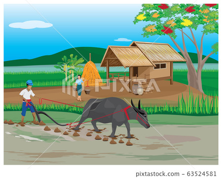 farmer plow in paddy field at countryside farmer plow in paddy field at countryside 63524581