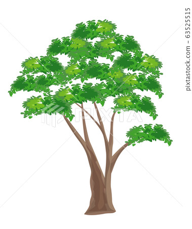 isolated green tree vector design - Stock Illustration [63525515] - PIXTA