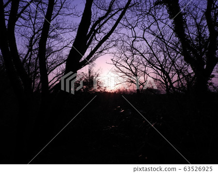 Setting sun 63526925