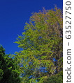 Blue sky 63527750