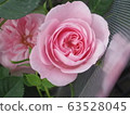 Miniature 63528045