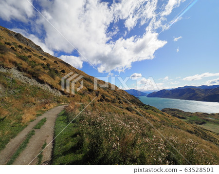 New Zealand landscape New Zealand landscape 63528501