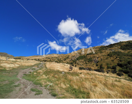 New Zealand landscape 63528509