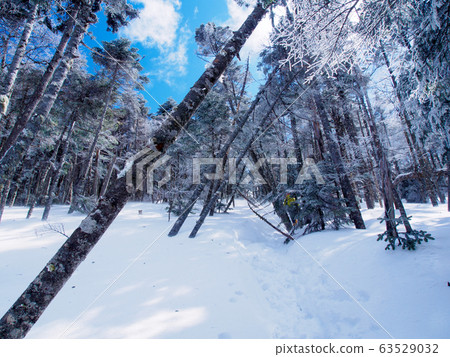 Kita Yatsugatake mountain climbing in winter Kita Yatsugatake mountain climbing in winter 63529032