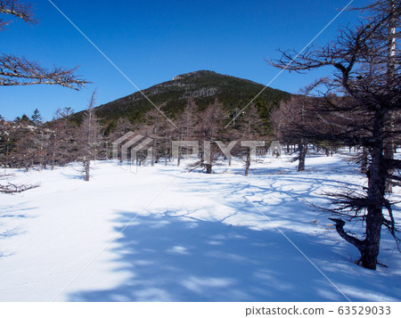 Kita Yatsugatake mountain climbing in winter Kita Yatsugatake mountain climbing in winter 63529033