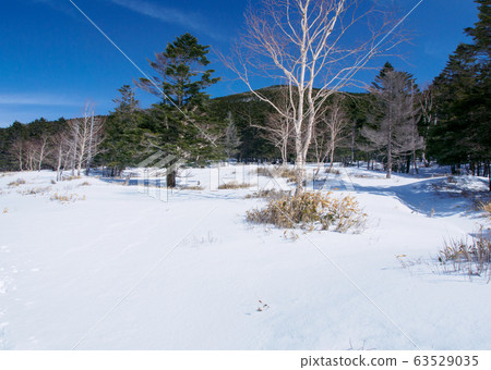 冬季北北岳岳登山 63529035