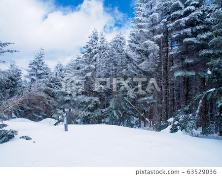 Kita Yatsugatake mountain climbing in winter 63529036