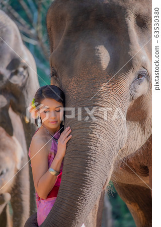 Beautiful thai women wearing traditional thai clothes standing on an elephant in nature park thailand, woman concept. Beautiful thai women wearing traditional thai clothes standing on an elephant in nature park thailand, woman concept. 63530380