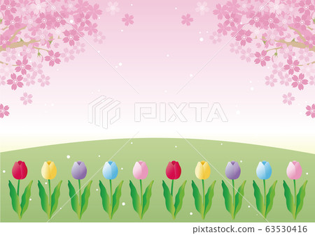 櫻花，鬱金香，春天，花卉，風景，背景，副本空間 63530416
