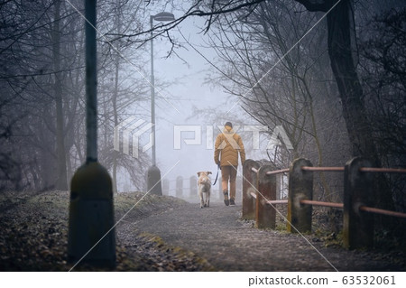 Morning walk with dog in fog 63532061
