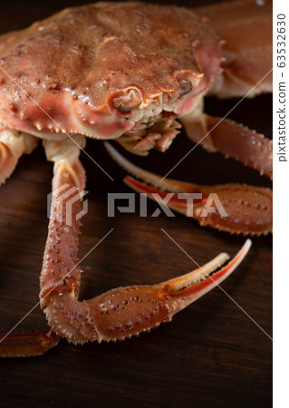 Crab Crab 63532630
