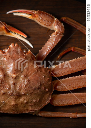 Crab Crab 63532636